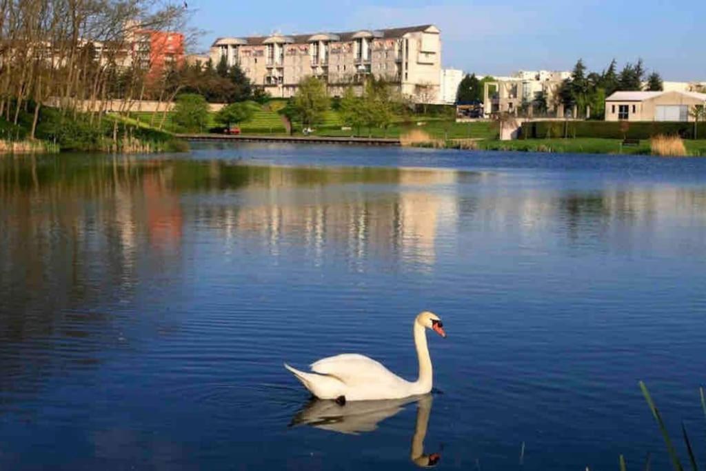 Tres Bel Appartement Entre Paris Et Disneyland Lognes Buitenkant foto